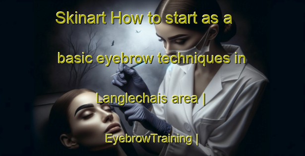 Skinart How to start as a basic eyebrow techniques in Langlechais area | EyebrowTraining | EyebrowClasses | SkinartTraining-France